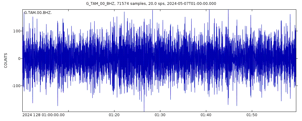 Seismic station Tamanrasset, Algeria: seismogram of vertical movement last 60 minutes (source: IRIS/BUD)